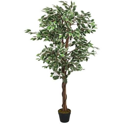 Non communiqué vidaXL Kunstplant ficus 756 bladeren 150 cm groen359027 Vert - Publicité Non communiqué vidaXL Kunstplant ficus 756 bladeren 150 cm groen359027 Vert - Publicité