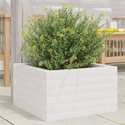 Jardinière vitaXL Blanche 40x40x23 cm Bois de Pin Massif - Jardinière - Publicité Jardinière vitaXL Blanche 40x40x23 cm Bois de Pin Massif - Jardinière - Publicité