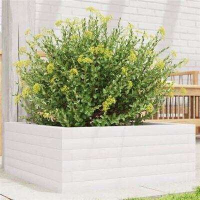 Jardinière en pin blanc vidaXL 60x60x23 cm - Publicité Jardinière en pin blanc vidaXL 60x60x23 cm - Publicité