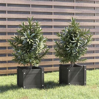 Non communiqué Jardinières d extérieur 2 pcs Gris 31x31x31 cm Bois de pin gris - Publicité Non communiqué Jardinières d extérieur 2 pcs Gris 31x31x31 cm Bois de pin gris - Publicité