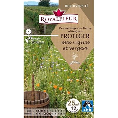 Royalfleur Pfrf08796 Graines De Fleurs Utiles Pour Protéger Vignes/Vergers 25 M² - Publicité Royalfleur Pfrf08796 Graines De Fleurs Utiles Pour Protéger Vignes/Vergers 25 M² - Publicité
