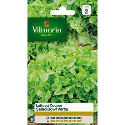 Vilmorin 3609742 Pack De Graines Laitue À Couper Salade Bol Vert Vert - Publicité Vilmorin 3609742 Pack De Graines Laitue À Couper Salade Bol Vert Vert - Publicité
