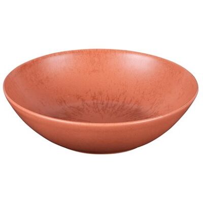 Table Passion - Lot de 6 Coupelle Onyx 17cm Terracotta - Publicité Table Passion - Lot de 6 Coupelle Onyx 17cm Terracotta - Publicité