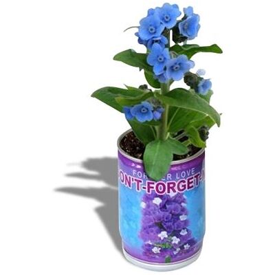 TotalCadeau Fleurs bleues en canette message don't forget me Multi - Publicité TotalCadeau Fleurs bleues en canette message don't forget me Multi - Publicité