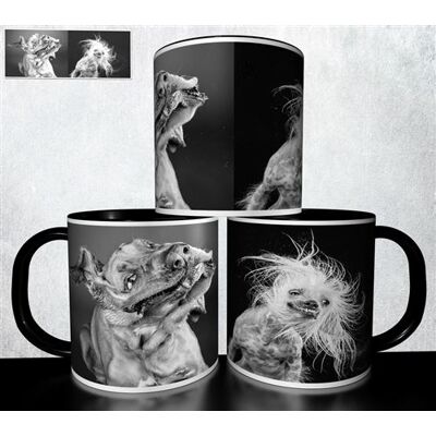 Forever Mug collection design - Animal Funny dogs 853 Blanc - Publicité Forever Mug collection design - Animal Funny dogs 853 Blanc - Publicité
