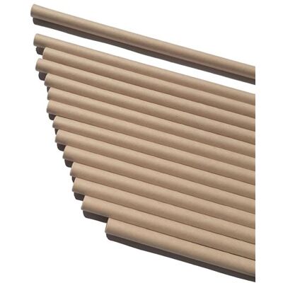 Non communiqué Paille Jetable Papier de Bambou Petite Classique L 12,5 cm Ø 0,6 cm Les Pailles Logiques 13 - Publicité Non communiqué Paille Jetable Papier de Bambou Petite Classique L 12,5 cm Ø 0,6 cm Les Pailles Logiques 13 - Publicité
