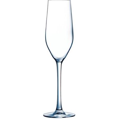 Non communiqué Flûtes à champagne Arcoroc Mineral 160 ml x 24 14 - Publicité Non communiqué Flûtes à champagne Arcoroc Mineral 160 ml x 24 14 - Publicité