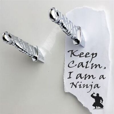 TotalCadeau 2 couteaux aimantés ninja pour frigo argent Multi - Publicité TotalCadeau 2 couteaux aimantés ninja pour frigo argent Multi - Publicité