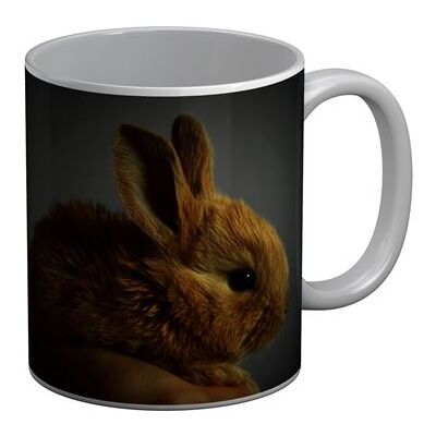 Non communiqué Fabulous Mug céramique Lapin Nain Trop Mignon Poilu Beige Blanc - Publicité Non communiqué Fabulous Mug céramique Lapin Nain Trop Mignon Poilu Beige Blanc - Publicité