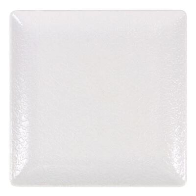 Non communiqué Service Assiettes DENA carrées de 24 Pièces plates en Porcelaine blanche, plat de service pour entrées desserts et salades - Longueur 16 x largeur 16 x Hauteur 2 cm - Publicité Non communiqué Service Assiettes DENA carrées de 24 Pièces plates en Porcelaine blanche, plat de service pour entrées desserts et salades - Longueur 16 x largeur 16 x Hauteur 2 cm - Publicité