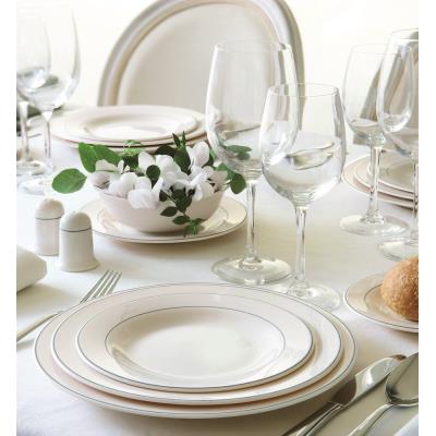 VISIODIRECT lot de 24 assiettes plates reception ø240 mm - Publicité VISIODIRECT lot de 24 assiettes plates reception ø240 mm - Publicité