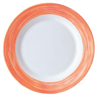 VISIODIRECT lot de 24 assiettes creuses brush orange ø225 mm - Publicité VISIODIRECT lot de 24 assiettes creuses brush orange ø225 mm - Publicité