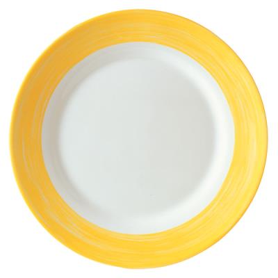 VISIODIRECT lot de 24 assiettes plates brush jaune ø195 mm - Publicité VISIODIRECT lot de 24 assiettes plates brush jaune ø195 mm - Publicité
