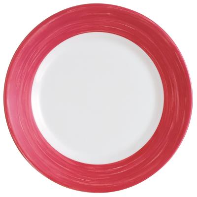 VISIODIRECT lot de 24 assiettes plates brush cherry ø235 mm - Publicité VISIODIRECT lot de 24 assiettes plates brush cherry ø235 mm - Publicité