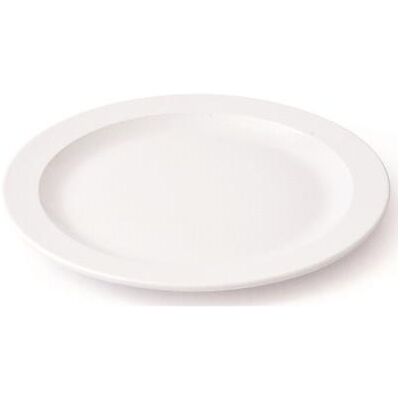 VISIODIRECT lot de 10 assiettes plates melamine blanc ø175 x h18 mm - Publicité VISIODIRECT lot de 10 assiettes plates melamine blanc ø175 x h18 mm - Publicité