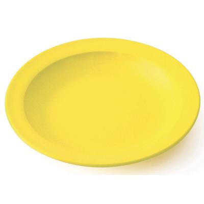 VISIODIRECT lot de 10 assiettes plates melamine jaune ø175 x h18 mm - Publicité VISIODIRECT lot de 10 assiettes plates melamine jaune ø175 x h18 mm - Publicité