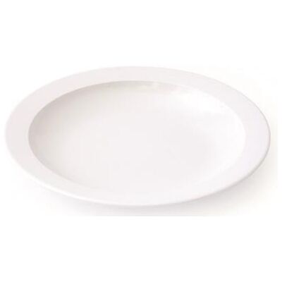 VISIODIRECT lot de 10 assiettes creuses melamine blanc ø205 x h30 mm - Publicité VISIODIRECT lot de 10 assiettes creuses melamine blanc ø205 x h30 mm - Publicité
