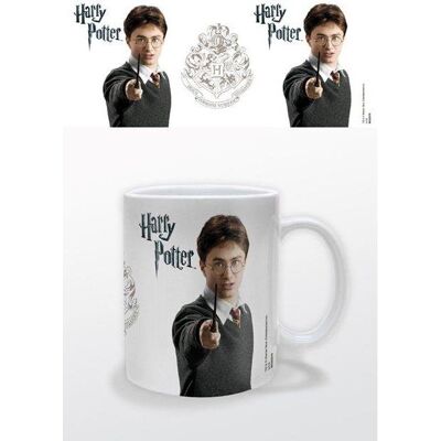 Non communiqué HARRY POTTER-MUG-300 ML-HARRY POTTER - Publicité Non communiqué HARRY POTTER-MUG-300 ML-HARRY POTTER - Publicité
