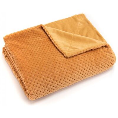 Non communiqué Plaid damier 130x170 curry - Amadeus - Jaune - Polyester Jaune - Publicité Non communiqué Plaid damier 130x170 curry - Amadeus - Jaune - Polyester Jaune - Publicité
