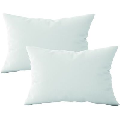 Non communiqué Lot de 2 oreillers, coussins de garnissage - 40 x 60 cm - Blanc - Vivezen Blanc - Publicité Non communiqué Lot de 2 oreillers, coussins de garnissage - 40 x 60 cm - Blanc - Vivezen Blanc - Publicité