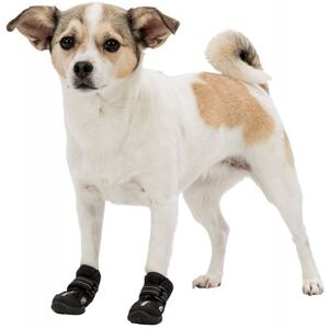 Bottes de protection Walker Active. Taille: XS. pour chien. - Trixie - TR-19460 - Publicité