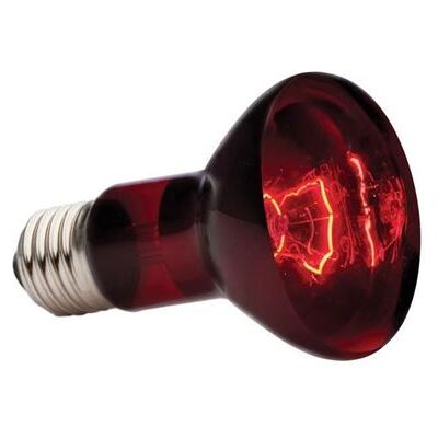 Lampe chauffante infrarouge Exo Terra 50W - Source de chaleur nocturne pour reptiles - Publicité Lampe chauffante infrarouge Exo Terra 50W - Source de chaleur nocturne pour reptiles - Publicité