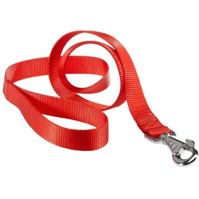 Ferplast Laisse en nylon résistant chien chiens différentes couleurs et tailles FERPLAST CLUB G Rouge Rouge - Publicité Ferplast Laisse en nylon résistant chien chiens différentes couleurs et tailles FERPLAST CLUB G Rouge Rouge - Publicité