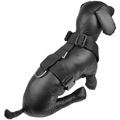 AUCUNE - HNR70-90x40 - 70-90 cm - 40 mm - Harness - Publicité AUCUNE - HNR70-90x40 - 70-90 cm - 40 mm - Harness - Publicité