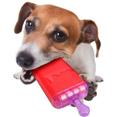 Jouet pour chiens Flamenco - Rafraîchissement d'été - Publicité Jouet pour chiens Flamenco - Rafraîchissement d'été - Publicité