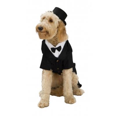 Rubies Costume de chien avec smoking - M - Publicité Rubies Costume de chien avec smoking - M - Publicité