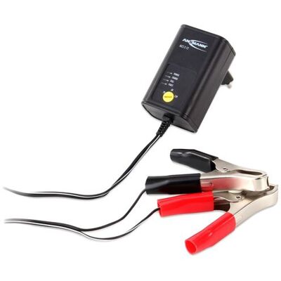 Ansmann Chargeur de batterie plomb-acide ALCS 2-12/0.4 Noir 400 mA Noir - Publicité Ansmann Chargeur de batterie plomb-acide ALCS 2-12/0.4 Noir 400 mA Noir - Publicité