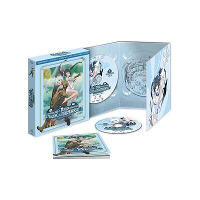 Selecta Danmachi Saison 1 (Ed Collector) - Publicité Selecta Danmachi Saison 1 (Ed Collector) - Publicité