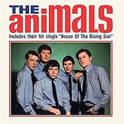 Import The Animals - Publicité Import The Animals - Publicité