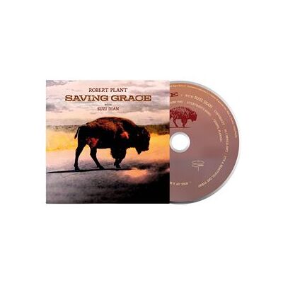 Nonesuch Saving Grace - Publicité Nonesuch Saving Grace - Publicité