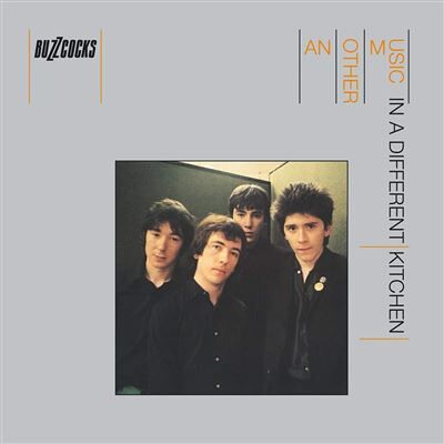 Domino Another Music In A Different Kitchen Vinyle 180 gr - Publicité Domino Another Music In A Different Kitchen Vinyle 180 gr - Publicité