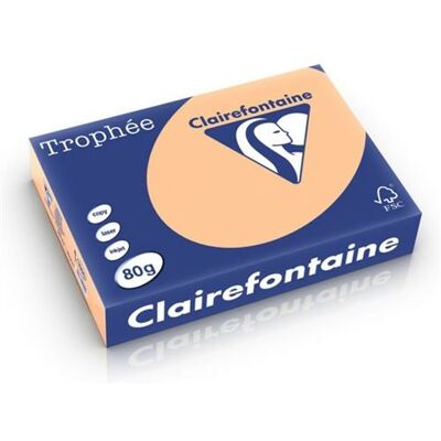 Clairefontaine Abricot A4 - 80g - Papier coloré - 500 feuilles - Publicité Clairefontaine Abricot A4 - 80g - Papier coloré - 500 feuilles - Publicité