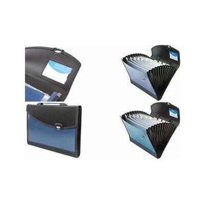 RAPESCO Trieur valisette Designer, A4+, 13 compartiments - Publicité RAPESCO Trieur valisette Designer, A4+, 13 compartiments - Publicité