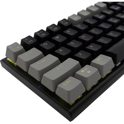 Clavier gaming mécanique White Shark WAKIZASHI 2 - Noir/Gris - Publicité Clavier gaming mécanique White Shark WAKIZASHI 2 - Noir/Gris - Publicité