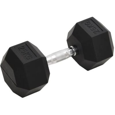 Haltère en Fonte de 25 kg vidaXL - Équipement de Fitness - Publicité Haltère en Fonte de 25 kg vidaXL - Équipement de Fitness - Publicité