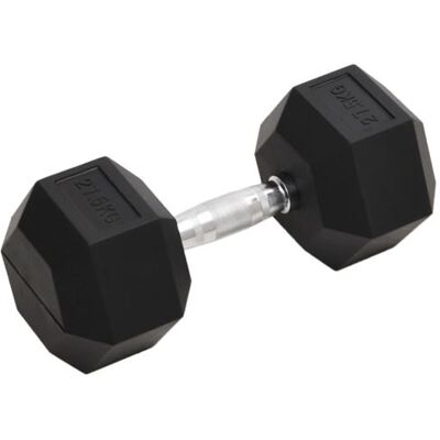 vidaXL Haltère en Fonte 27,5 kg - Équipement de Fitness - Publicité vidaXL Haltère en Fonte 27,5 kg - Équipement de Fitness - Publicité
