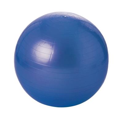 VISIODIRECT Balle gymnastique de couleur bleu avec diamètre de 55 cm - Publicité VISIODIRECT Balle gymnastique de couleur bleu avec diamètre de 55 cm - Publicité