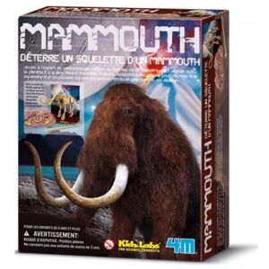 Barrutoys Deterre ton Mammouth coffret construction maquette enfants garçons 8 ans + - Publicité Barrutoys Deterre ton Mammouth coffret construction maquette enfants garçons 8 ans + - Publicité