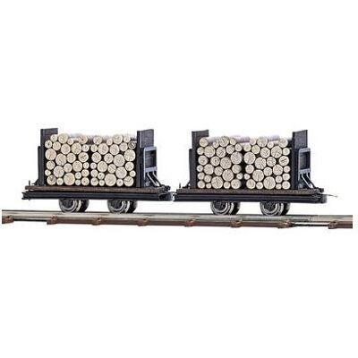 Modèle de chemin de fer étroit Busch Feldbahn 12211 H0f - Deux wagons - Publicité Modèle de chemin de fer étroit Busch Feldbahn 12211 H0f - Deux wagons - Publicité