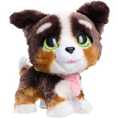 Non communiqué Jouet interactif FURREAL FRIENDS Chiot Grand Marcheur 23 cm Animal interactif avec lais - Publicité Non communiqué Jouet interactif FURREAL FRIENDS Chiot Grand Marcheur 23 cm Animal interactif avec lais - Publicité
