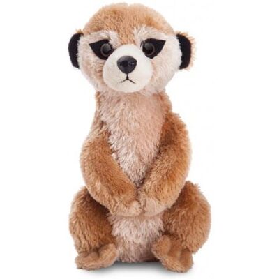 Aurora Cuddle Mini Flopsy suricate 20.5 cm Bruin - Publicité Aurora Cuddle Mini Flopsy suricate 20.5 cm Bruin - Publicité