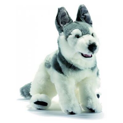 Anima Husky 42cm - Publicité Anima Husky 42cm - Publicité
