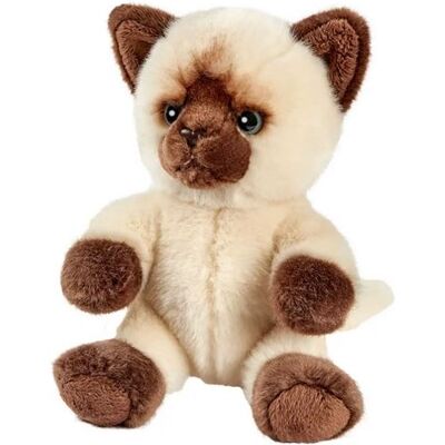 Non communiqué Peluche Chat Siamois Tetabizous - 17 cmH Multicolore - Publicité Non communiqué Peluche Chat Siamois Tetabizous - 17 cmH Multicolore - Publicité