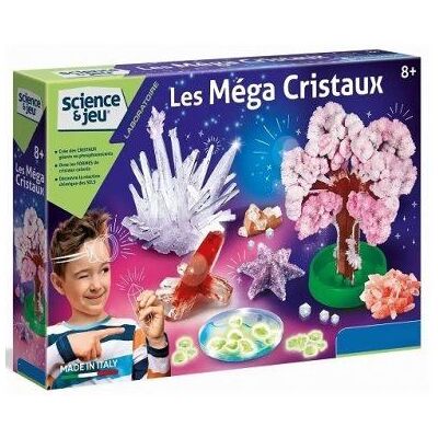 Non communiqué Laboratoire cree des mega cristaux - kit experiences scientifique - jeu science - mineralogie pierres precieuses - Publicité Non communiqué Laboratoire cree des mega cristaux - kit experiences scientifique - jeu science - mineralogie pierres precieuses - Publicité