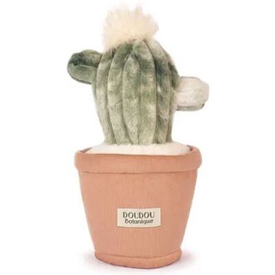 Non communiqué Doudou Botanic - Cactus 25CM Beige - Publicité Non communiqué Doudou Botanic - Cactus 25CM Beige - Publicité