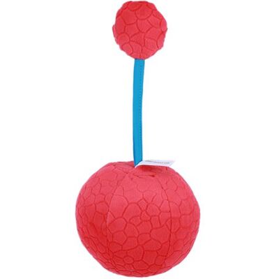 Générique Balle d'entraînement Visuel pour Bébé pour Nourrisson Jouets Éducatifs Précoce - Rouge Rouge - Publicité Générique Balle d'entraînement Visuel pour Bébé pour Nourrisson Jouets Éducatifs Précoce - Rouge Rouge - Publicité